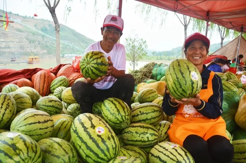 陕西神木:产业扶贫“挑大梁”,麟州遍开“富民花”(图5) 陕西神木:产业扶贫“挑大梁”,麟州遍开“富民花”(图5)