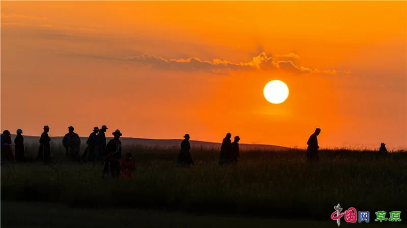 实力圈粉!“千里草原”从春美到冬(图6) 实力圈粉!“千里草原”从春美到冬(图6)