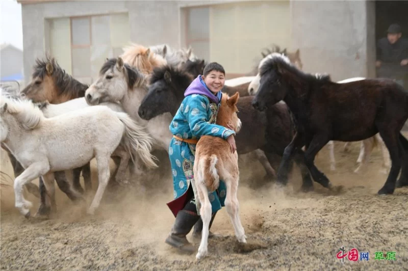实力圈粉!“千里草原”从春美到冬(图5) 实力圈粉!“千里草原”从春美到冬(图5)
