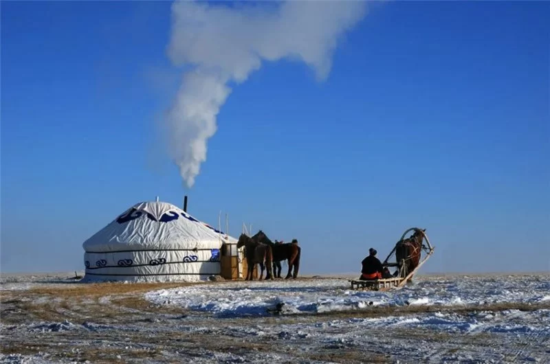 实力圈粉!“千里草原”从春美到冬(图22) 实力圈粉!“千里草原”从春美到冬(图22)