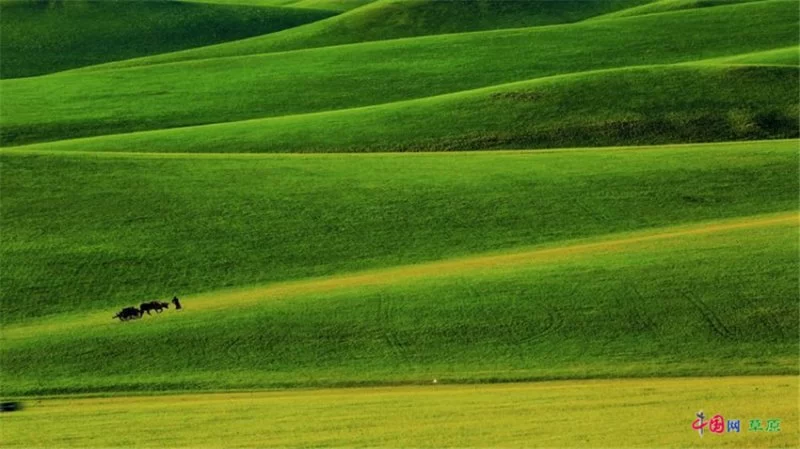 实力圈粉!“千里草原”从春美到冬(图7) 实力圈粉!“千里草原”从春美到冬(图7)