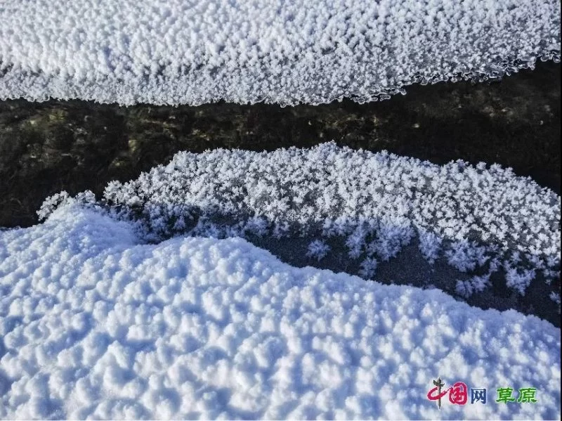 实力圈粉!“千里草原”从春美到冬(图2) 实力圈粉!“千里草原”从春美到冬(图2)