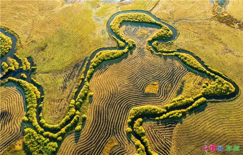 实力圈粉!“千里草原”从春美到冬(图14) 实力圈粉!“千里草原”从春美到冬(图14)