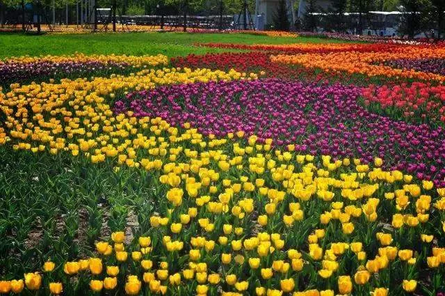 顺意好礼彰显地域特色,顺义文旅助力文化传承(图4) 顺意好礼彰显地域特色,顺义文旅助力文化传承(图4)