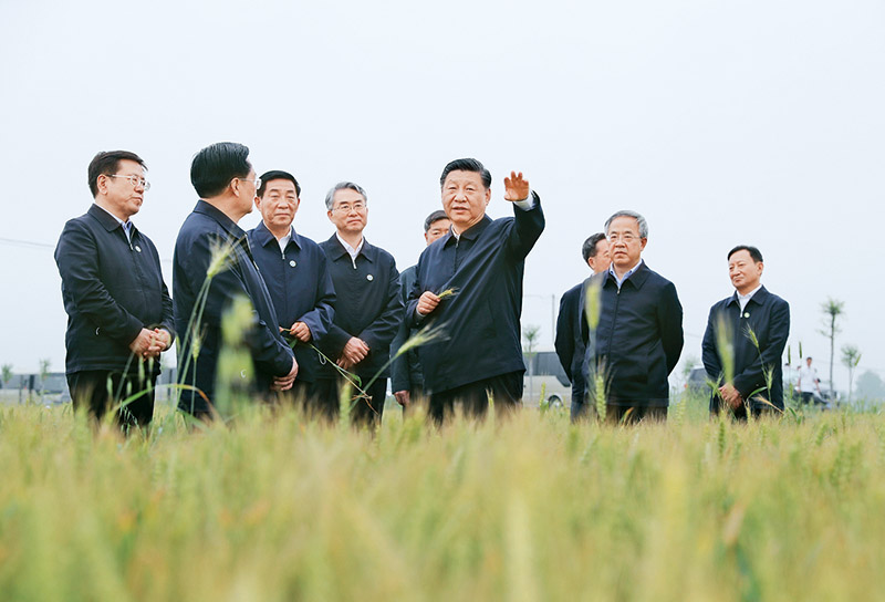 坚持把解决好“三农”问题作为全党工作重中之重 举全党全社会之力推动乡村振兴(图3)