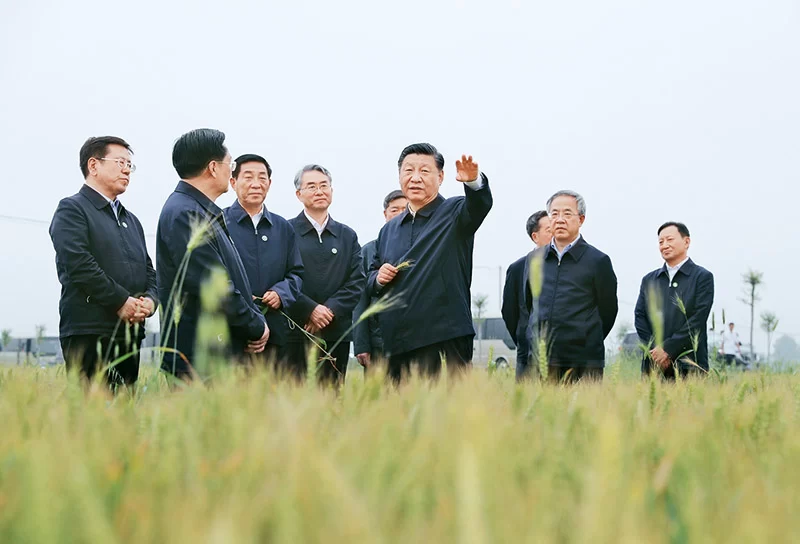 坚持把解决好“三农”问题作为全党工作重中之重 举全党全社会之力推动乡村振兴(图3) 坚持把解决好“三农”问题作为全党工作重中之重 举全党全社会之力推动乡村振兴(图3)