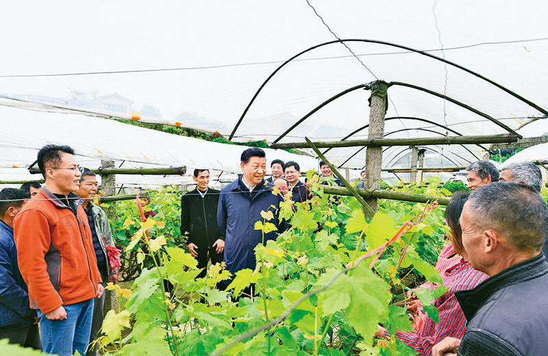 坚持把解决好“三农”问题作为全党工作重中之重 举全党全社会之力推动乡村振兴(图4)