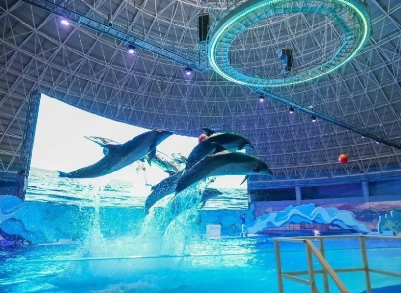 长假七天这样玩,徐州市文广旅局邀您国庆黄金周游徐州(图3) 长假七天这样玩,徐州市文广旅局邀您国庆黄金周游徐州(图3)