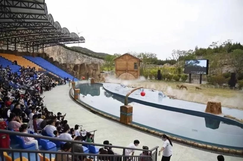 长假七天这样玩,徐州市文广旅局邀您国庆黄金周游徐州(图9) 长假七天这样玩,徐州市文广旅局邀您国庆黄金周游徐州(图9)