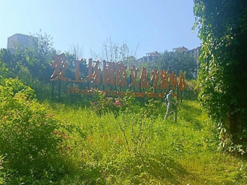 持续打造文化服务品牌 北京爱工场产业园开春迎双展