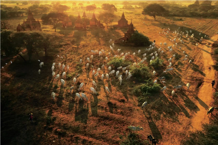 首届三亚国际摄影周将于12月9日开幕(图7) 首届三亚国际摄影周将于12月9日开幕(图7)