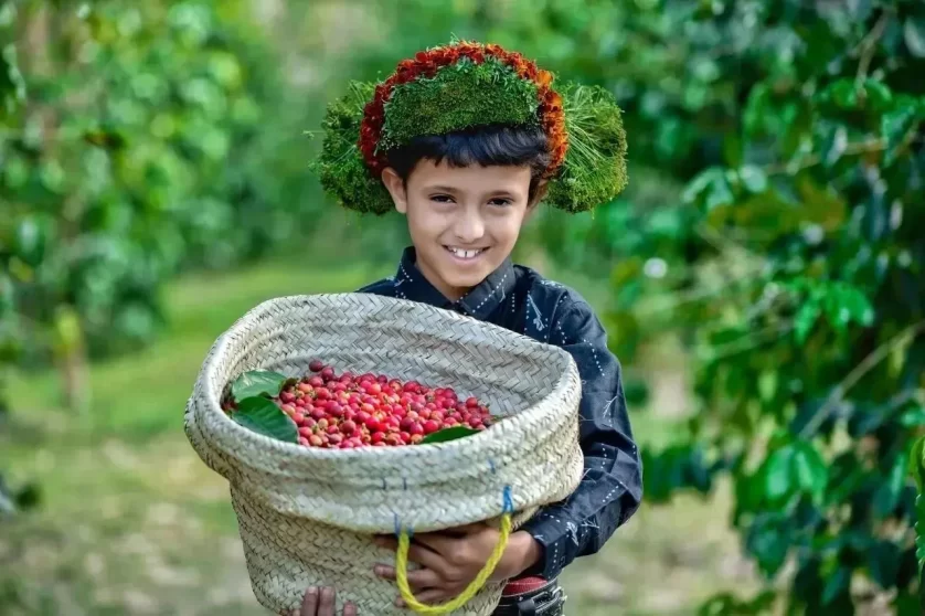 首届三亚国际摄影周将于12月9日开幕(图9) 首届三亚国际摄影周将于12月9日开幕(图9)