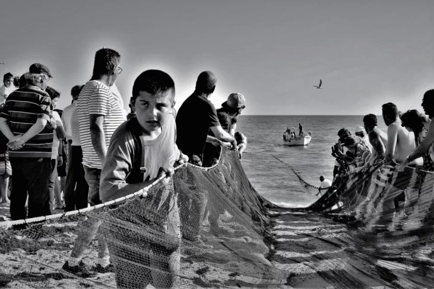 首届三亚国际摄影周将于12月9日开幕(图10) 首届三亚国际摄影周将于12月9日开幕(图10)