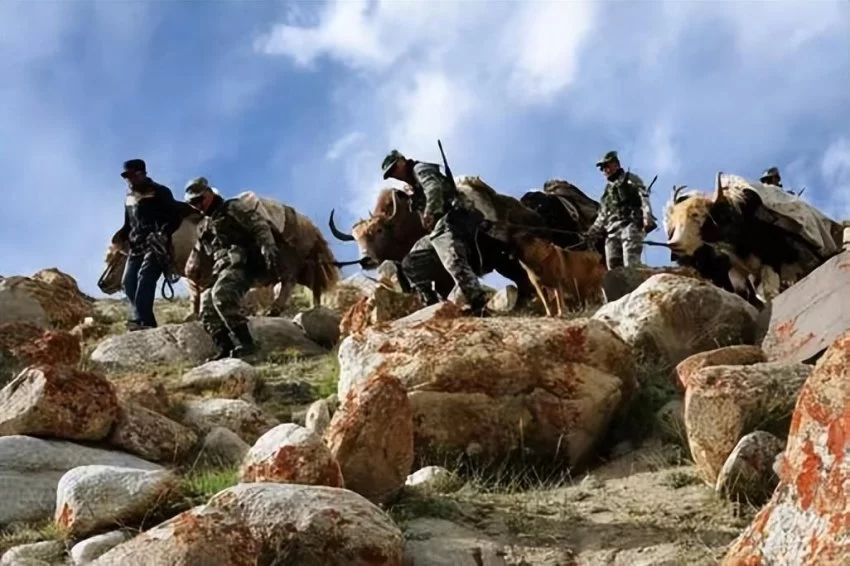 首届三亚国际摄影周将于12月9日开幕(图13) 首届三亚国际摄影周将于12月9日开幕(图13)