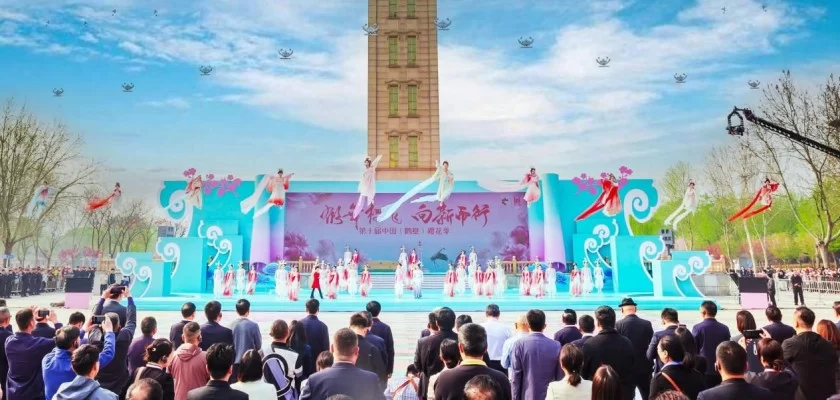 “鹤舞樱飞 向新而行”——第十届中国（鹤壁）樱花季华美启幕