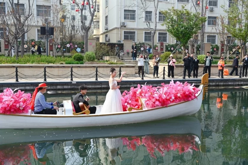 “鹤舞樱飞 向新而行”——第十届中国(鹤壁)樱花季华美启幕(图6) “鹤舞樱飞 向新而行”——第十届中国(鹤壁)樱花季华美启幕(图6)