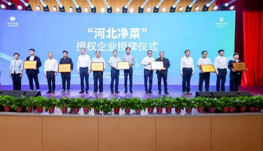 全国农产品产销对接助力乡村振兴(京津冀)活动暨“河北净菜”品牌推介会在河北青县举办(图10) 全国农产品产销对接助力乡村振兴(京津冀)活动暨“河北净菜”品牌推介会在河北青县举办(图10)