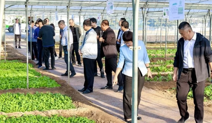 全国农产品产销对接助力乡村振兴(京津冀)活动暨“河北净菜”品牌推介会在河北青县举办(图11) 全国农产品产销对接助力乡村振兴(京津冀)活动暨“河北净菜”品牌推介会在河北青县举办(图11)