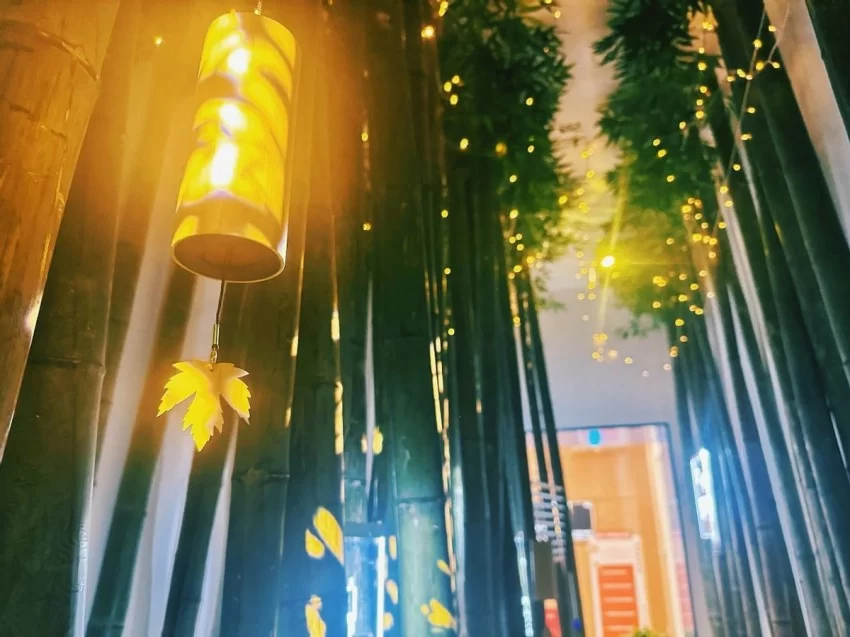 嘉兴市图书馆120周年再谱新篇，五感疗愈疗引领阅读深入精神新天地(图2)