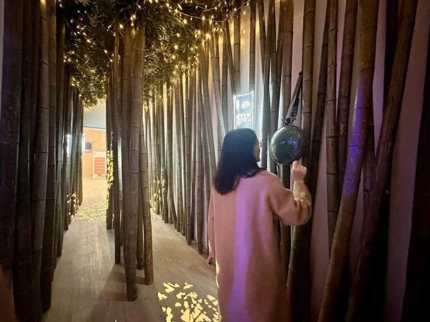 嘉兴市图书馆120周年再谱新篇，五感疗愈疗引领阅读深入精神新天地(图6)