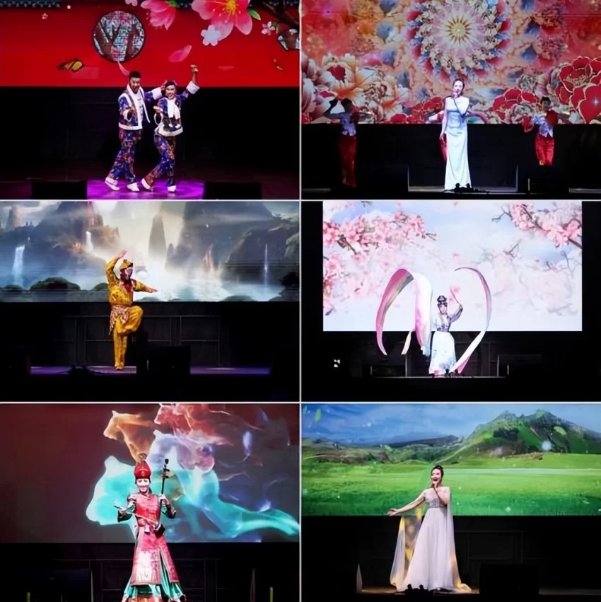 新春乐章唱响多瑙河畔——2025年欢乐春节演出活动在匈牙利卡辛茨巴茨卡市举办(图4) 2025年欢乐春节演出活动在匈牙利卡辛茨巴茨卡市举办(图4)