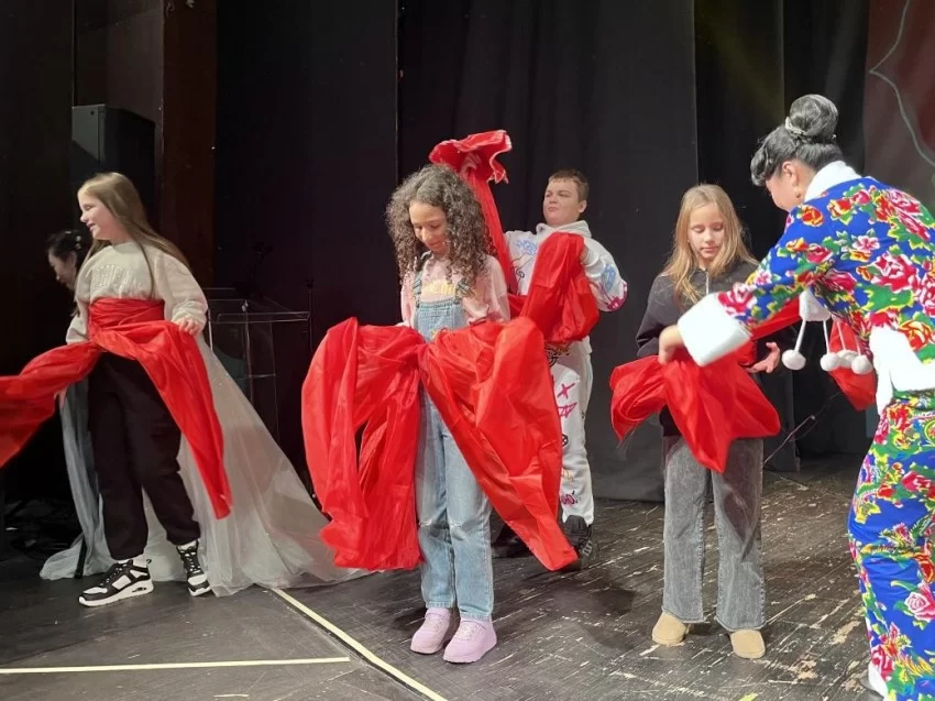 2025年欢乐春节演出活动在斯梅戴雷沃圆满闭幕(图10)