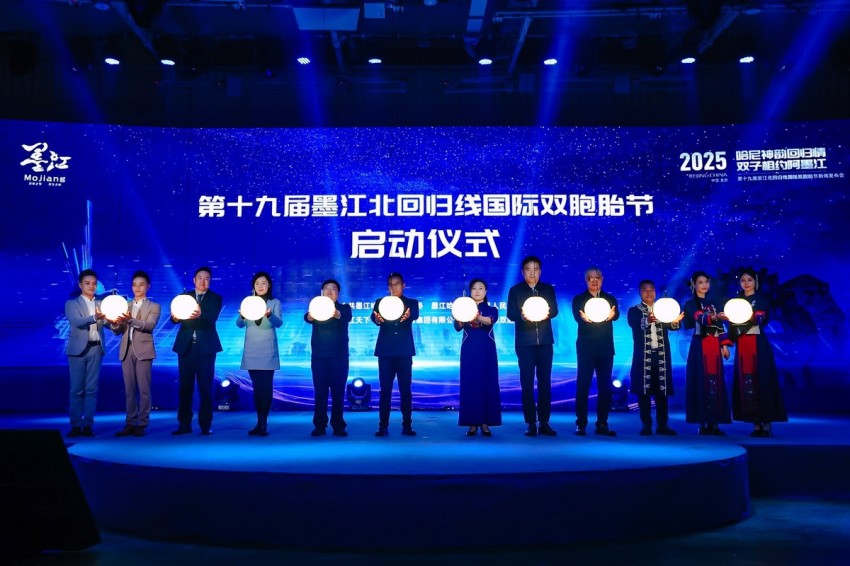 双生之美，理想之城——第十九届墨江北回归线国际双胞胎节正式启动(图4)