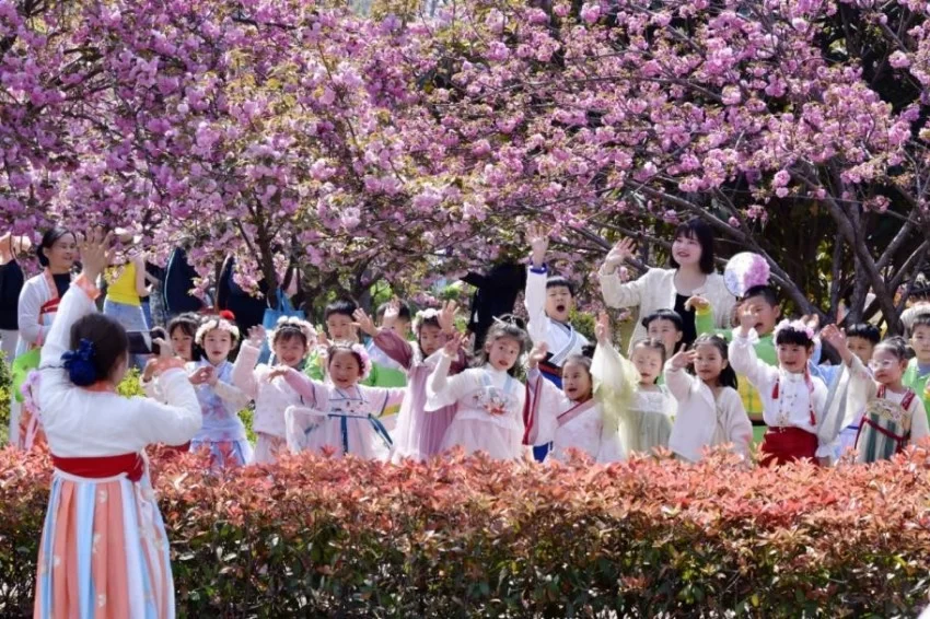 鹤壁樱花季爆火!三大绝美打卡地曝光,随手一拍就是大片!错过再等一年!(图4) 鹤壁樱花季爆火!三大绝美打卡地曝光,随手一拍就是大片!错过再等一年!(图4)