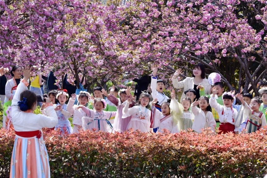 樱花与国风的完美结合——鹤壁樱花季奏响春日华章(图2) 樱花与国风的完美结合——鹤壁樱花季奏响春日华章(图2)