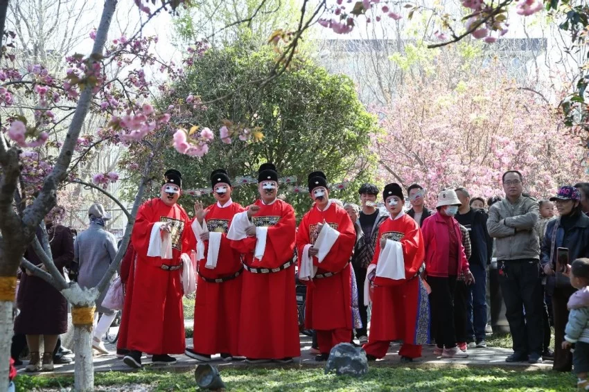 第十一届鹤壁樱花季启幕 以“樱花+”激活文旅消费全链条(图5)