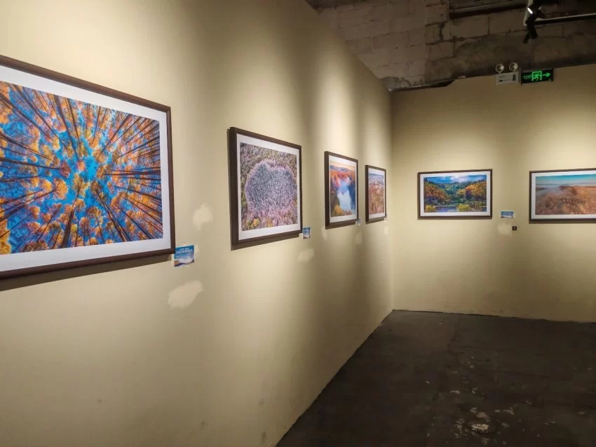 展示丰林四季旅游资源，“大美伊春·魅力丰林”四季风光摄影作品展上海站开幕(图4)