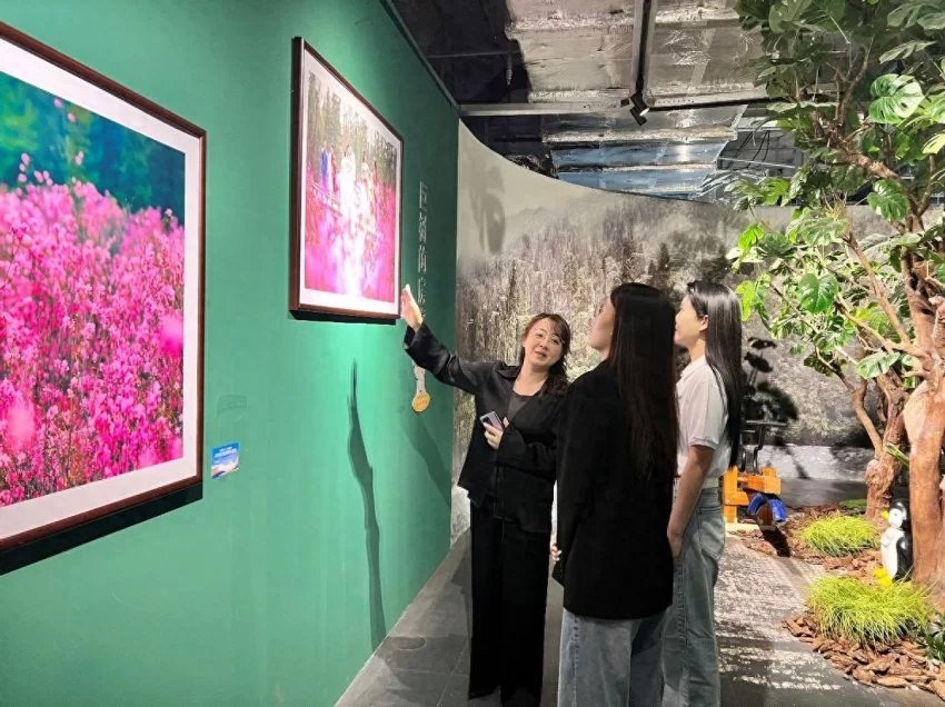 展示丰林四季旅游资源，“大美伊春·魅力丰林”四季风光摄影作品展上海站开幕