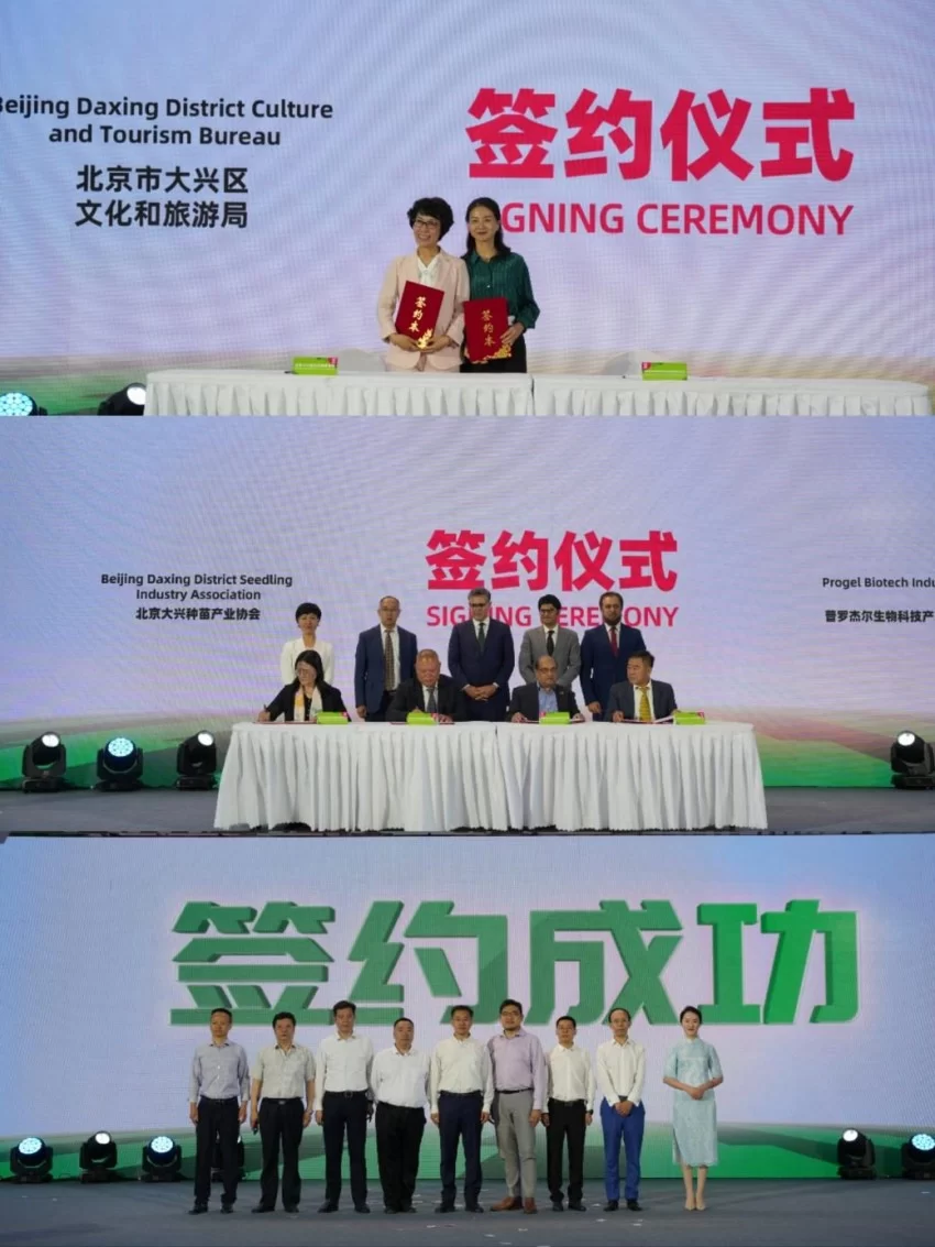 以瓜为媒 绘就发展“兴”图景——第37届北京大兴西瓜节启幕(图5) 以瓜为媒 绘就发展“兴”图景——第37届北京大兴西瓜节启幕(图5)