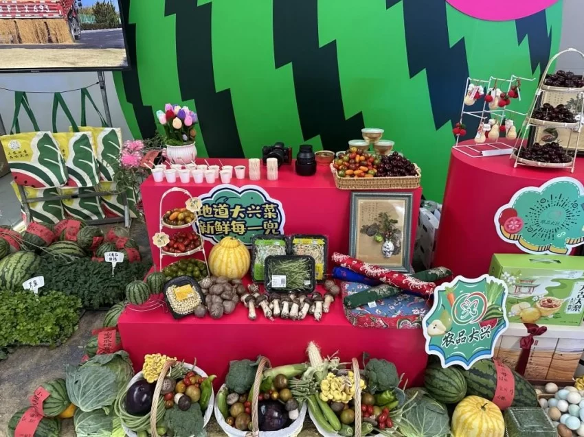 以瓜为媒 绘就发展“兴”图景——第37届北京大兴西瓜节启幕(图8) 以瓜为媒 绘就发展“兴”图景——第37届北京大兴西瓜节启幕(图8)