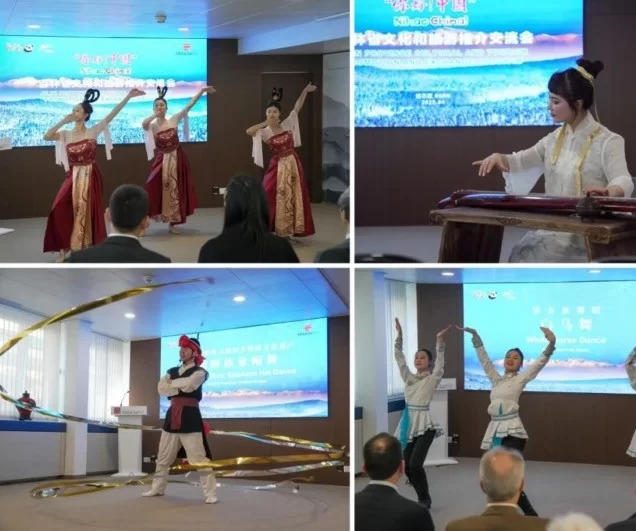 中国与瑞士文化交流合作开启新篇章——伯尔尼中国文化中心正式揭牌(图15)