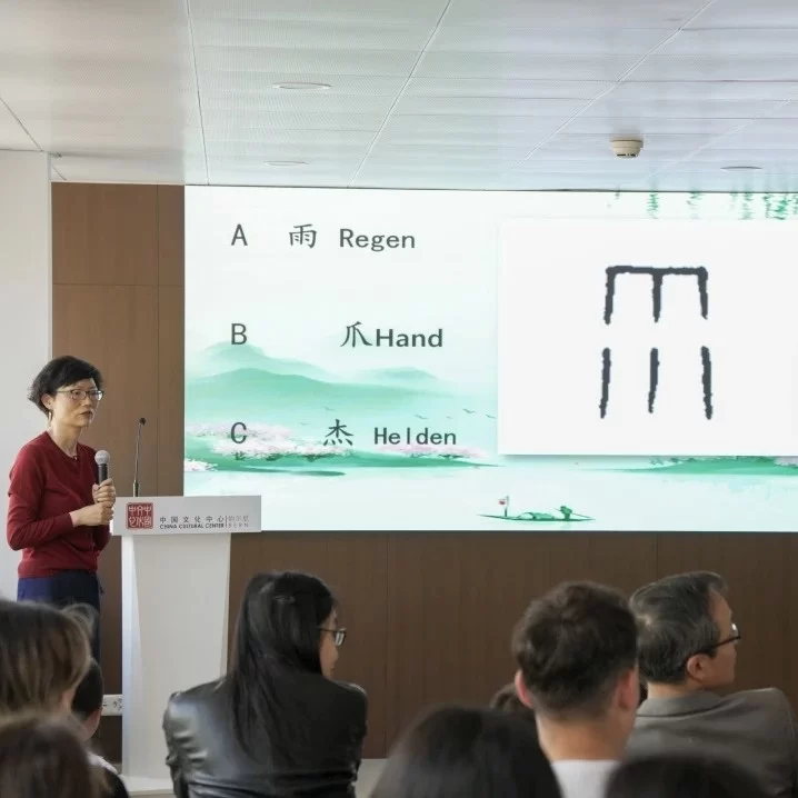 中国与瑞士文化交流合作开启新篇章——伯尔尼中国文化中心正式揭牌(图20)