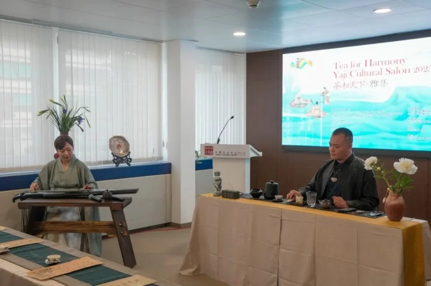 中国与瑞士文化交流合作开启新篇章——伯尔尼中国文化中心正式揭牌(图27)