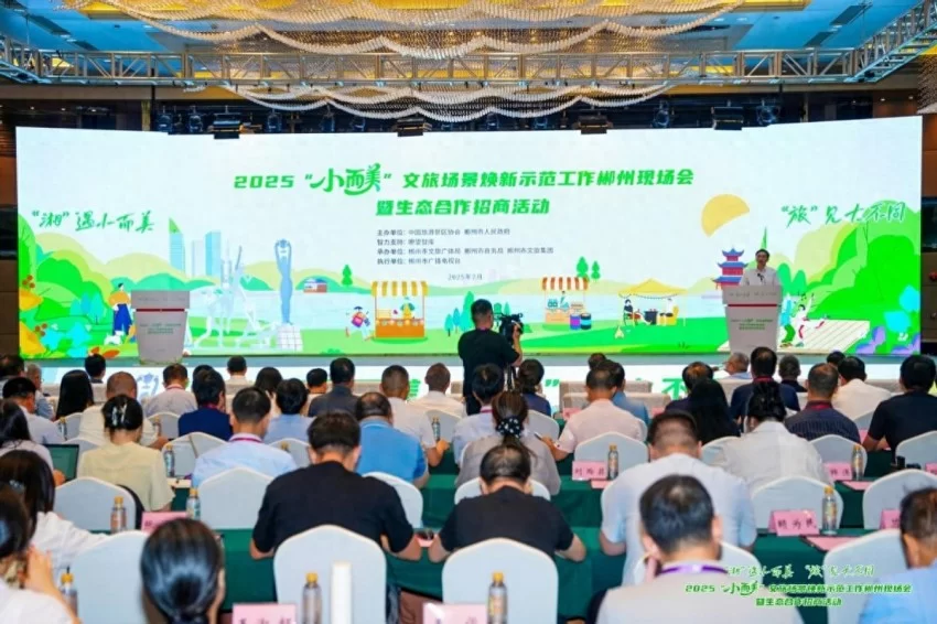 中传创展公司亮相 “小而美” 场景焕新示范工作郴州现场会(图1)