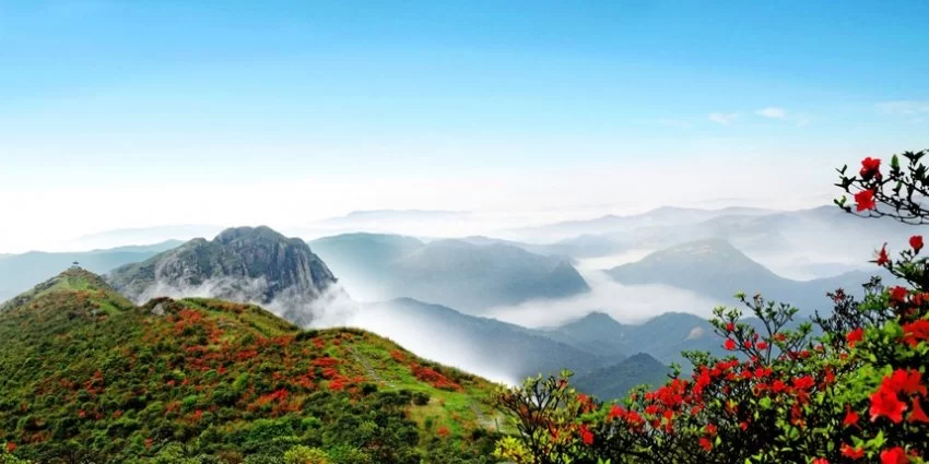 广西贺州姑婆山旅游度假区：走出一条绿色发展的“蝶变”之路(图2)