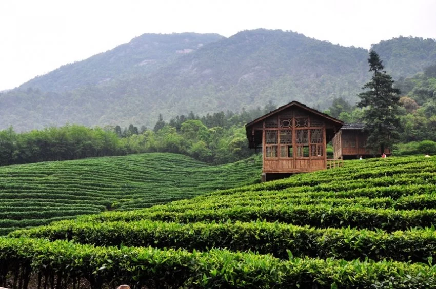 广西贺州姑婆山旅游度假区：走出一条绿色发展的“蝶变”之路(图3)