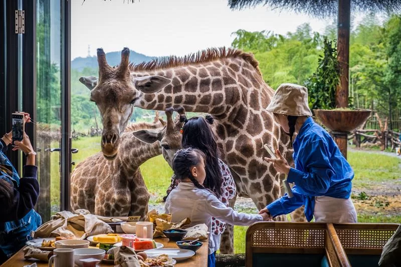 湄公河旅游旗下湖州长颈鹿庄园斩获2025“游乐界•金冠奖”杰出亲子乐园奖(图3) 湄公河旅游旗下湖州长颈鹿庄园斩获2025“游乐界•金冠奖”杰出亲子乐园奖(图3)