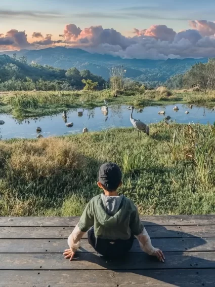 湄公河旅游旗下湖州长颈鹿庄园斩获2025“游乐界•金冠奖”杰出亲子乐园奖(图5) 湄公河旅游旗下湖州长颈鹿庄园斩获2025“游乐界•金冠奖”杰出亲子乐园奖(图5)