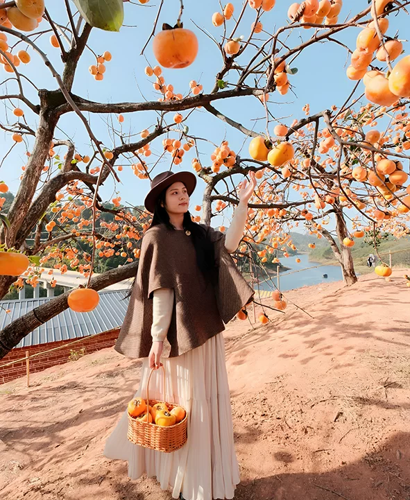 广西：打造旅游目的地升级版(图2)