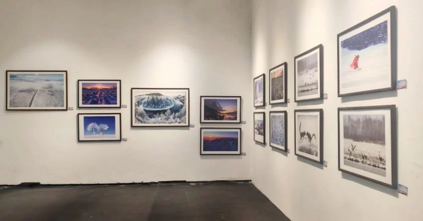 林海雪韵映山城 南北文旅谱新篇——“大美伊春·魅力丰林”冬季风光摄影作品展重庆启幕(图3)