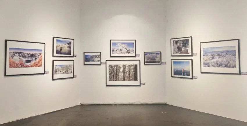 林海雪韵映山城 南北文旅谱新篇——“大美伊春·魅力丰林”冬季风光摄影作品展重庆启幕(图4)