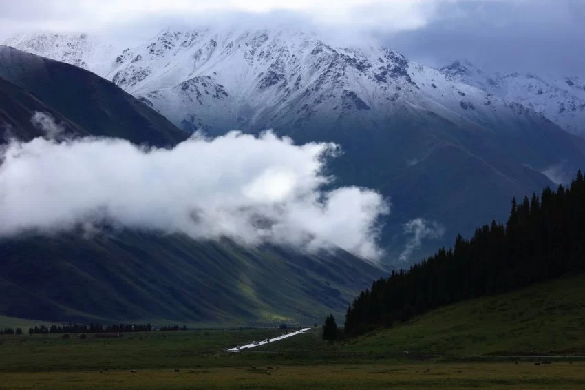 在伊犁穿越天山画廊，看独库公路“一路生花”(图2)