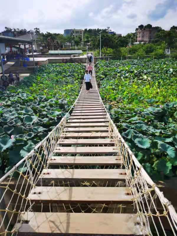 走进新时代 喜看壮乡美(图3) 走进新时代 喜看壮乡美(图3)